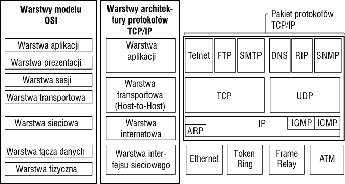 TCP OSI